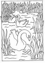 Coloring Swans Pages Kids Cu Birds Desene Print Para Colorear Fun Dibujos Cisnes Colouring Vitrales Imprimir Zwanen Zwaan Votes Imagen sketch template