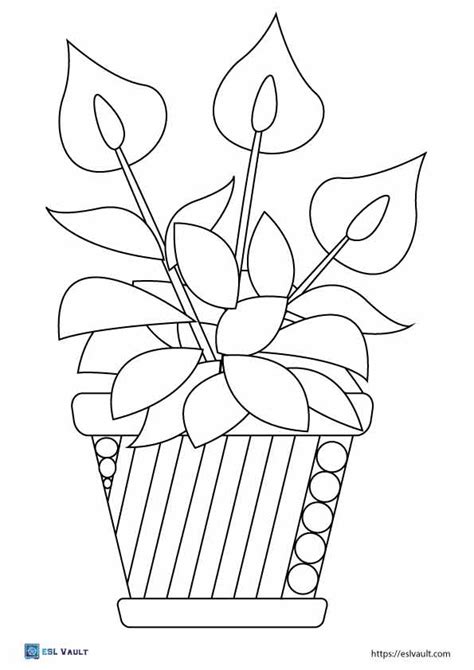 printable plant coloring pages esl vault