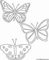 Butterflies Coloring Three Color Kids Activity Insects Pages Bigactivities Print Butterflies2 sketch template
