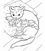 Coloring Family Animal Pages Cat Comments sketch template