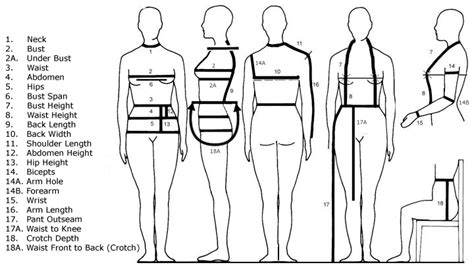 grade  basic clothing measurements  conversion chart