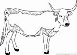 Cow Coloring Longhorn Pages Clipart Printable Color Jungli Kids Template Colouring Animal Animals Clipground Coloringpages101 Cat Library Popular Caw sketch template