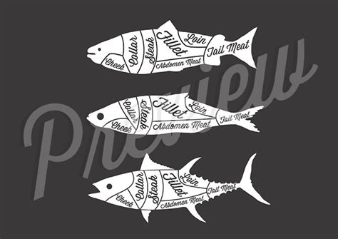 fish meat cuts print  triple fish meat cuts collection etsy