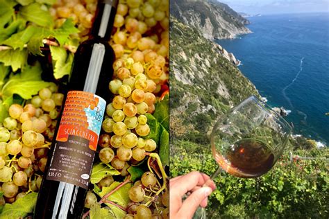 Sciacchetrà A Taste Of Cinque Terres Prestigious Wine