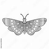 Zentangle Moth sketch template