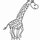 Jirafa Giraffe Hellokids Colorir Animada Cebra Sabana Girafa Chistosa Piernas Enredadas Bisonte Pantera African Salvajes sketch template