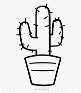 Kaktus Teahub sketch template