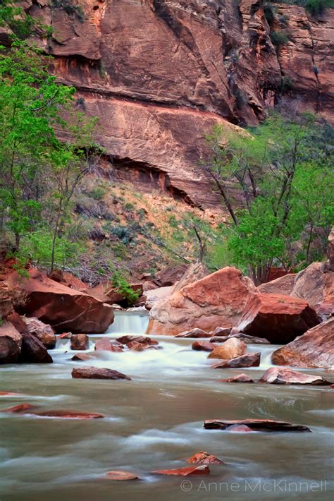 The Virgin River Zion National Park Anne Mckinnell