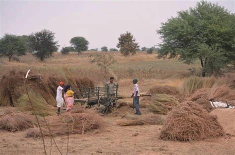 vanishing rural india blog travel briefing home