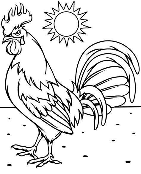 print rooster coloring page sheet topcoloringpagesnet