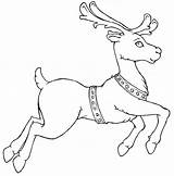 Reindeer Coloring Pages Santa Rudolph Christmas Template Drawing Nosed Printable Clipart Deer Color Print Templates Red Sleigh Realistic Caribou Run sketch template