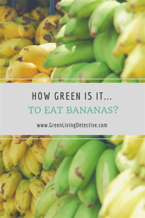 green    eat bananas green living detective banana