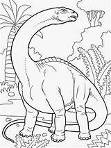 Coloring Brontosaurus Dinosaur Pages Printable Colouring Dinosaurs Sheets Book Kids Animal Clipart Library Getdrawings Popular sketch template