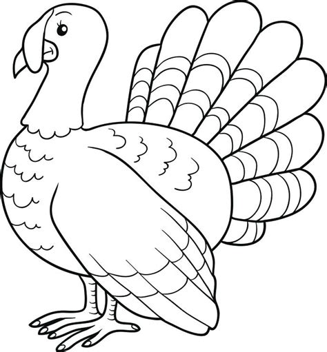 thanksgiving turkey drawing  getdrawings