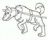 Perros Razas Siberiano Perrosamigos Perro Cachorros Pit sketch template