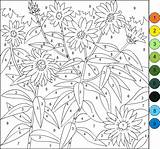Nicole Florian Coloring Pages Created Tuesday October sketch template