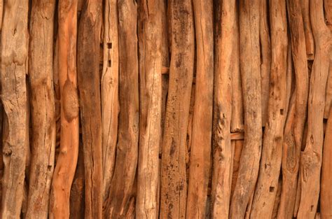 wooden logs  photo  freeimages