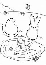 Peeps Coloring Printable Pages Bunny Chick Pond Near sketch template