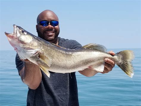 lake erie fishing  complete guide updated