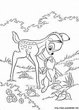 Bambi Zum Malvorlagen Klopfer sketch template
