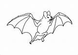 Fledermaus Ausmalbilder Malvorlagen sketch template