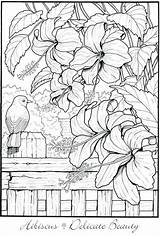 Coloring Pages Garden Flower Printable Adult Color Number Flowers Haven Creative Book Nature Print Books sketch template
