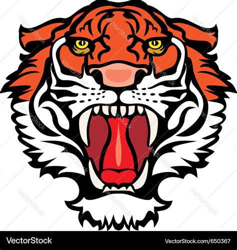 tiger royalty  vector image vectorstock