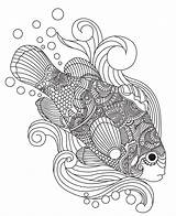 Coloring Adulte Application Zentangle Itunes sketch template
