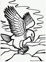 Elang Burung Mewarnai Printable Birds Buah Dibawah Menyiapkan Silahkan Warnai Lalu Berikut Telah sketch template
