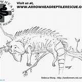 Coloring Pages Arrowhead Iguanas Getcolorings sketch template
