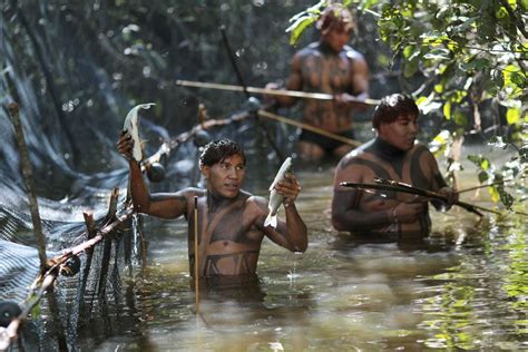 life with the yawalapiti tribe in brazil revolutionizing
