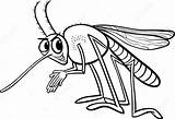 Mosquito Coloring Premium Insect Vector sketch template