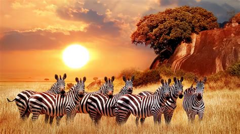 10 Of Africas Most Amazing Tourist Places You Must Visit Africa Facts