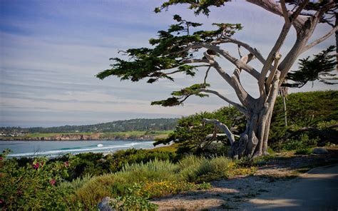 Top Things To Do In Carmel California Plan Your Vacation