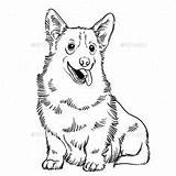 Corgi Cute Coloring Dog Drawing Drawings Pages Perfect Puppy Graphicriver Vector Illustration Welsh Cartoon Information Discover Printing Stickers Clothes Books sketch template