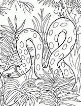Snake Coloring Pages Colouring Printable Kids Adult Color Realistic Detailed Animal Mandala Animals Quality High Crayola Letscolorit Familycorner Only Doodle sketch template