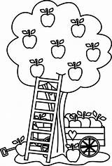Coloring Apple Tree Pages Appleseed Johnny Printable Color Fruit Harvest Kids Print Apples Colouring Sheets Fall Bestcoloringpagesforkids  Stylish Under sketch template