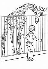 Zoo Coloring Pages Coloring4free Giraffe Cage Printable Books Last sketch template
