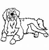 Dog Mountain Bernese Coloring Pages Berner Color Dogs Line Designlooter Sketchite Sketch 612px 18kb Choose Board sketch template