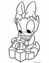 Baby Daisy Coloring Pages Duck Disney Printable Animal Babies Minnie Blocks Mouse Donald Drawing Disneyclips Book Cartoon Sheets Mickey Kids sketch template