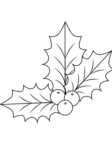 holly coloring pages  coloring pages  kids