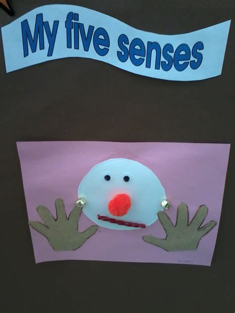 images senses preschool  senses preschool  senses craft images