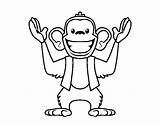Scimmia Abu Macaco Selva Mico Singe Acolore Dibuixos Animali Tigre Coloringcrew Abú Gorilla Dibuix Utente Registrato Coloritou sketch template