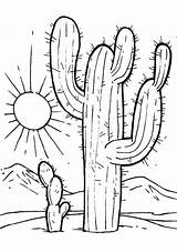 Cactus Desert Coloring Pages Sunset Color Place sketch template