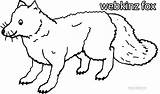 Coloring Pages Fox Webkinz Printable Cool2bkids Kids sketch template