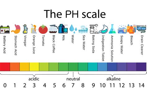 Cleaning Chemicals And Ph 10 Must Know Facts Nic Group
