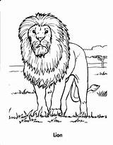 Coloring Lion Pages Animal Animals Judah Sheets Kids Zoo Realistic Books Lions Book Drawing Cat Wild Getdrawings Choose Board Giraffe sketch template
