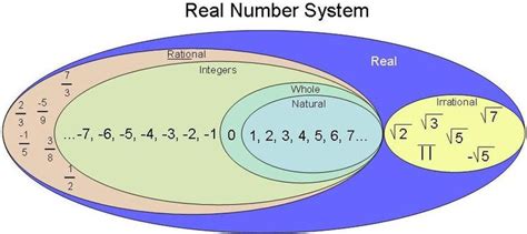classification  numbers diagram real numbers       types  numbers