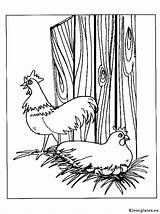 Kippen Kleurplaat Kleurplaten Kip Huhn Pollo Dieren Malvorlagen Mewarnai Animasi Ayam Poulets Pollos Coloriages Bergerak Animaatjes Polli Animal Malvorlagen1001 Gratis sketch template