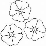 Flower Coloring Poppy Pages Template Kids Poppies Remembrance Bestcoloringpagesforkids sketch template